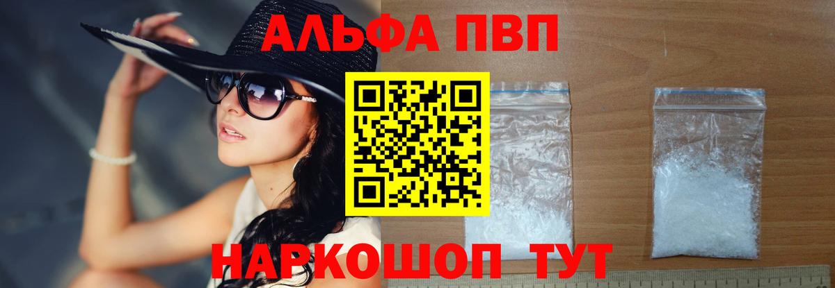 Альфа ПВП СК Новоалександровск