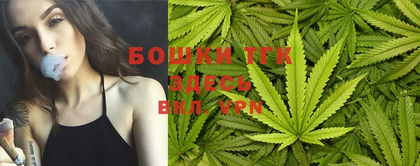 ALPHA-PVP Новозыбков