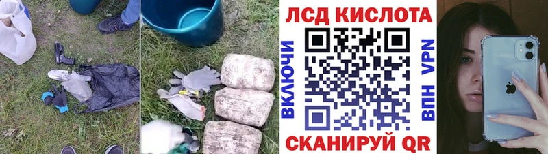 дарнет шоп  Новоалександровск  Лсд 25 экстази ecstasy 