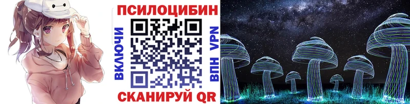 Галлюциногенные грибы мицелий  Новоалександровск 