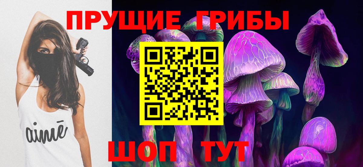 Галлюциногенные грибы ЛСД  Новоалександровск  Псилоцибиновые грибы Magic Shrooms 