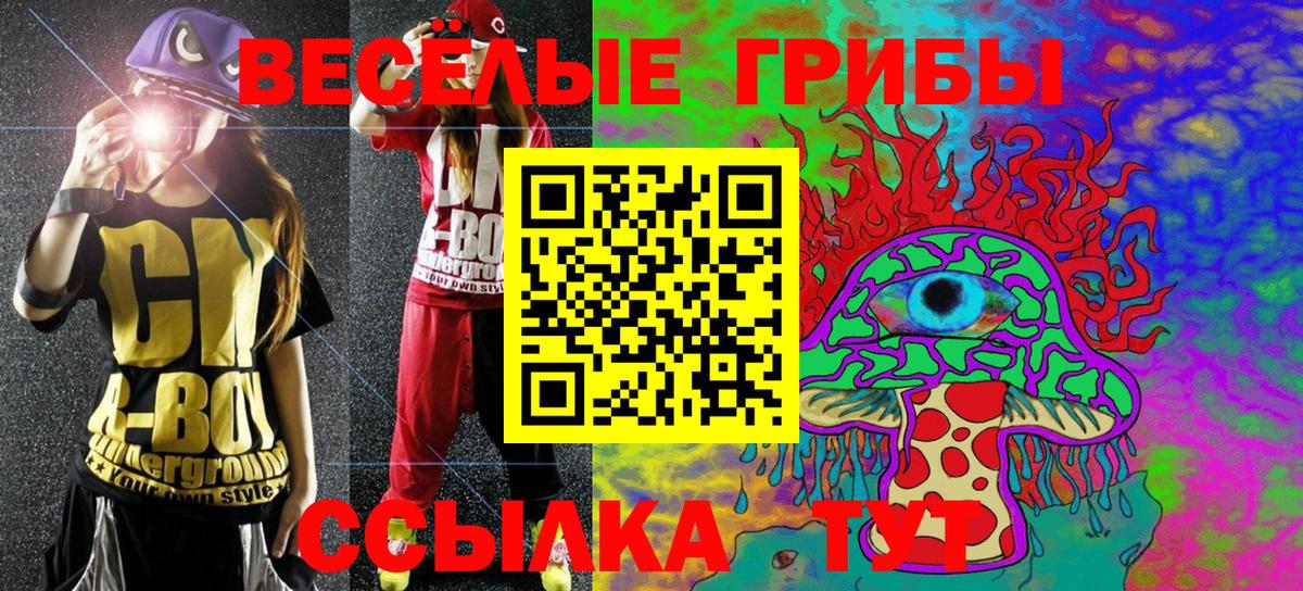 Псилоцибиновые грибы MAGIC MUSHROOMS Новоалександровск